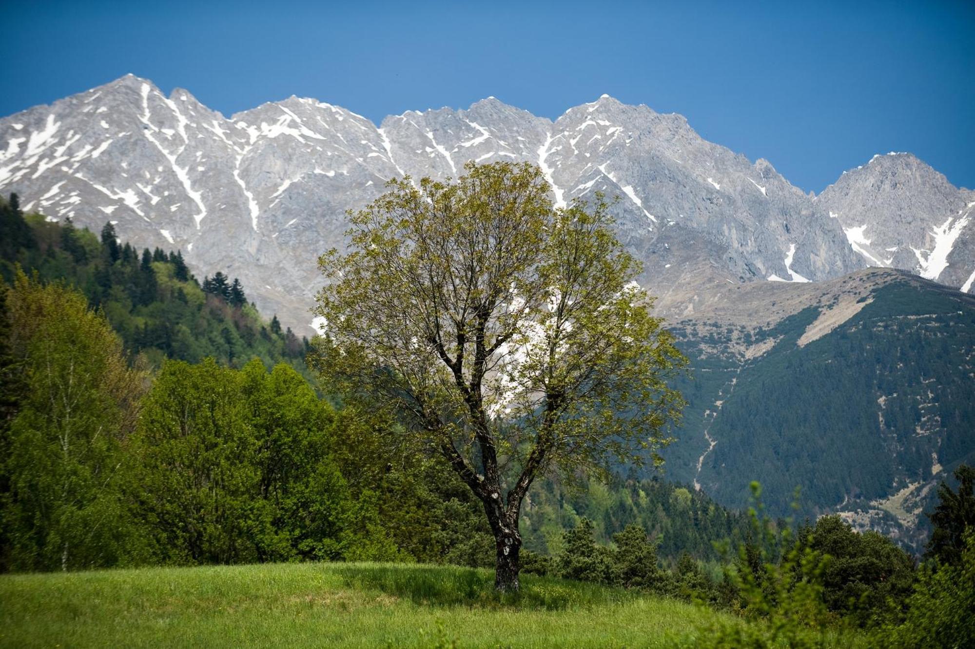 "Innsbruck Moments" Kasperhof Appartements Экстерьер фото