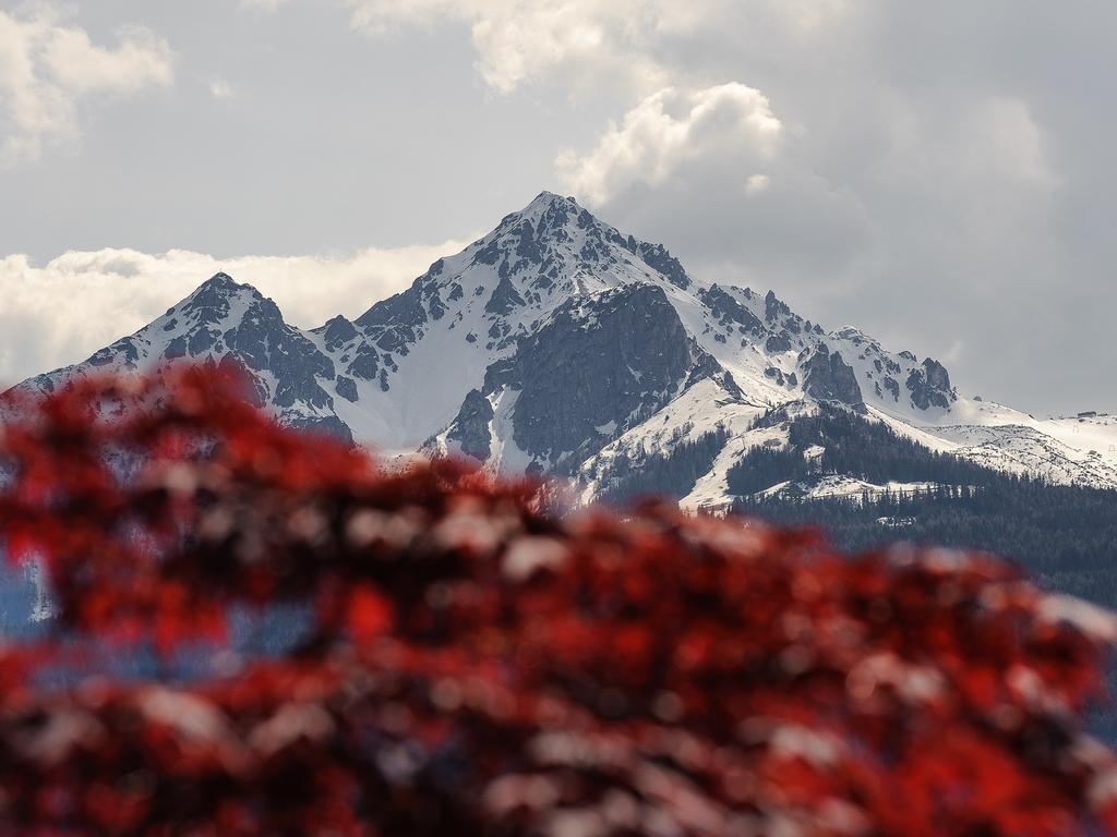 "Innsbruck Moments" Kasperhof Appartements Экстерьер фото